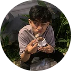 Ngô Kiến Huy